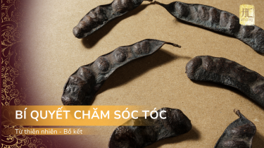 Bồ Kết – Bí Quyết Chăm Sóc Tóc Từ Thiên Nhiên