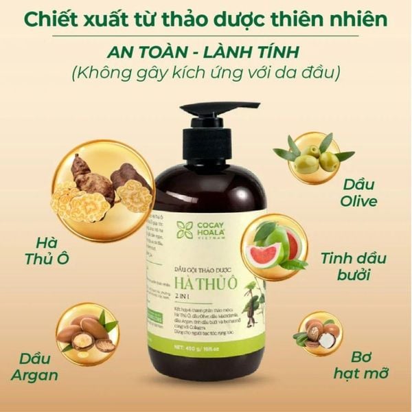 Dầu gội bưởi không sulfate